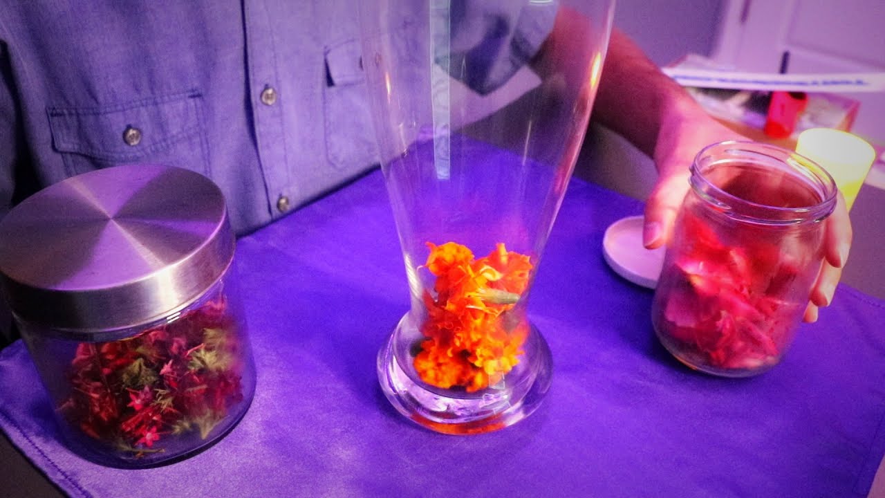 Pick a Flower Petal Jar Reading (ASMR) YouTube