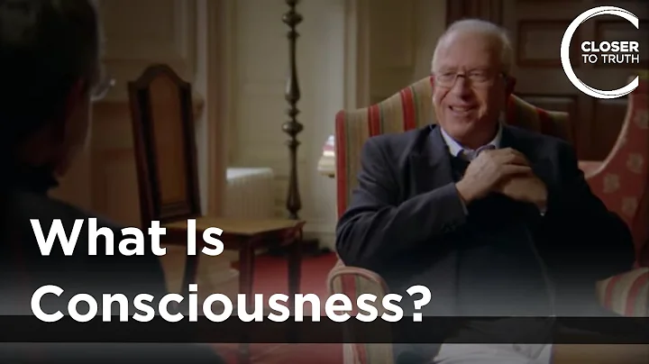 Simon Blackburn - What is Consciousness?
