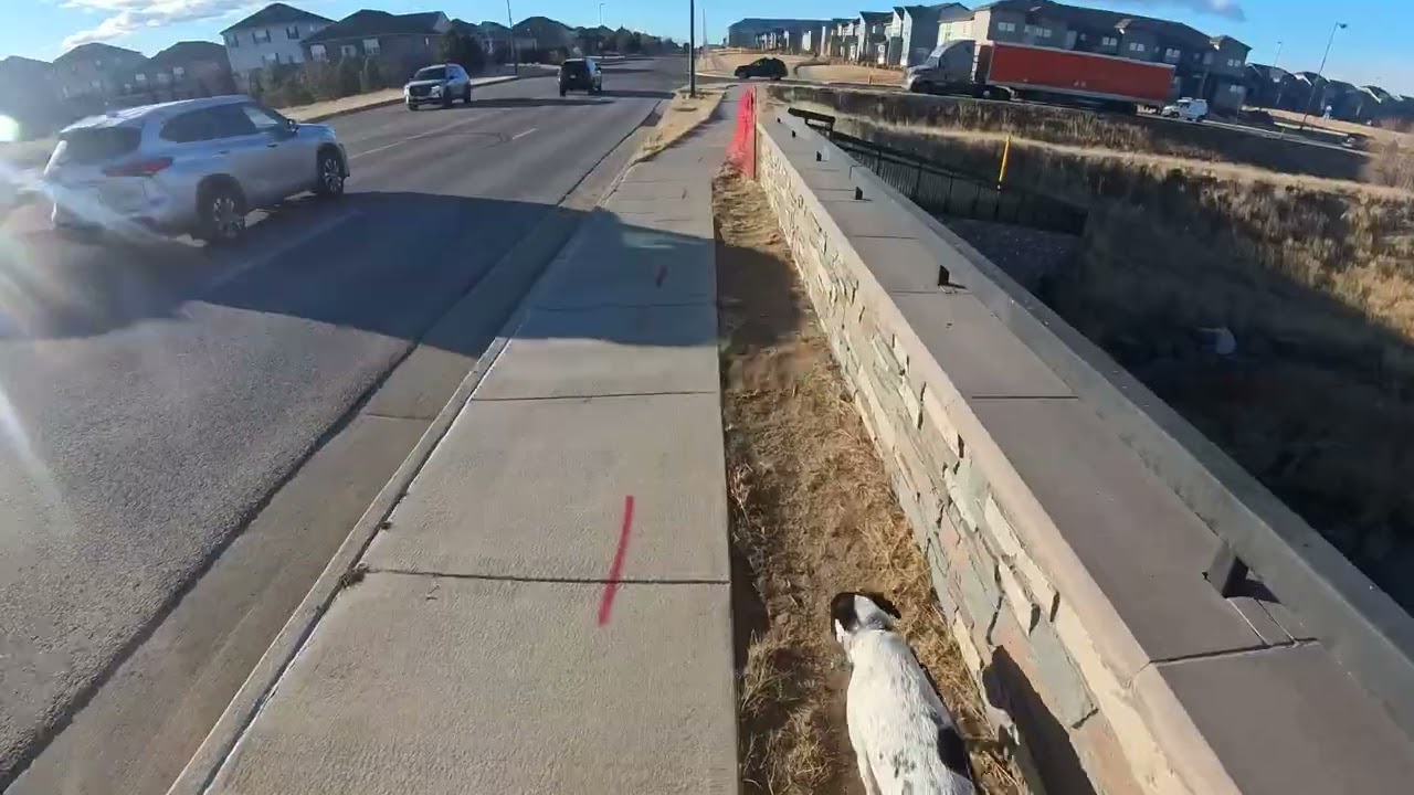 Ramona and Brett Morning run on Feb 26, 2026