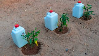 How to make a homemade drip irrigation system with cheap plastic bottles easy and fast.