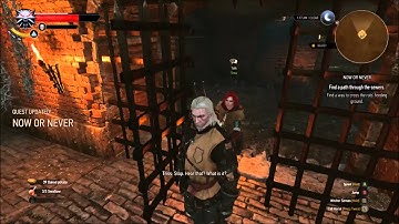 The Witcher 3 Playthrough Part: 36 - Now or Never