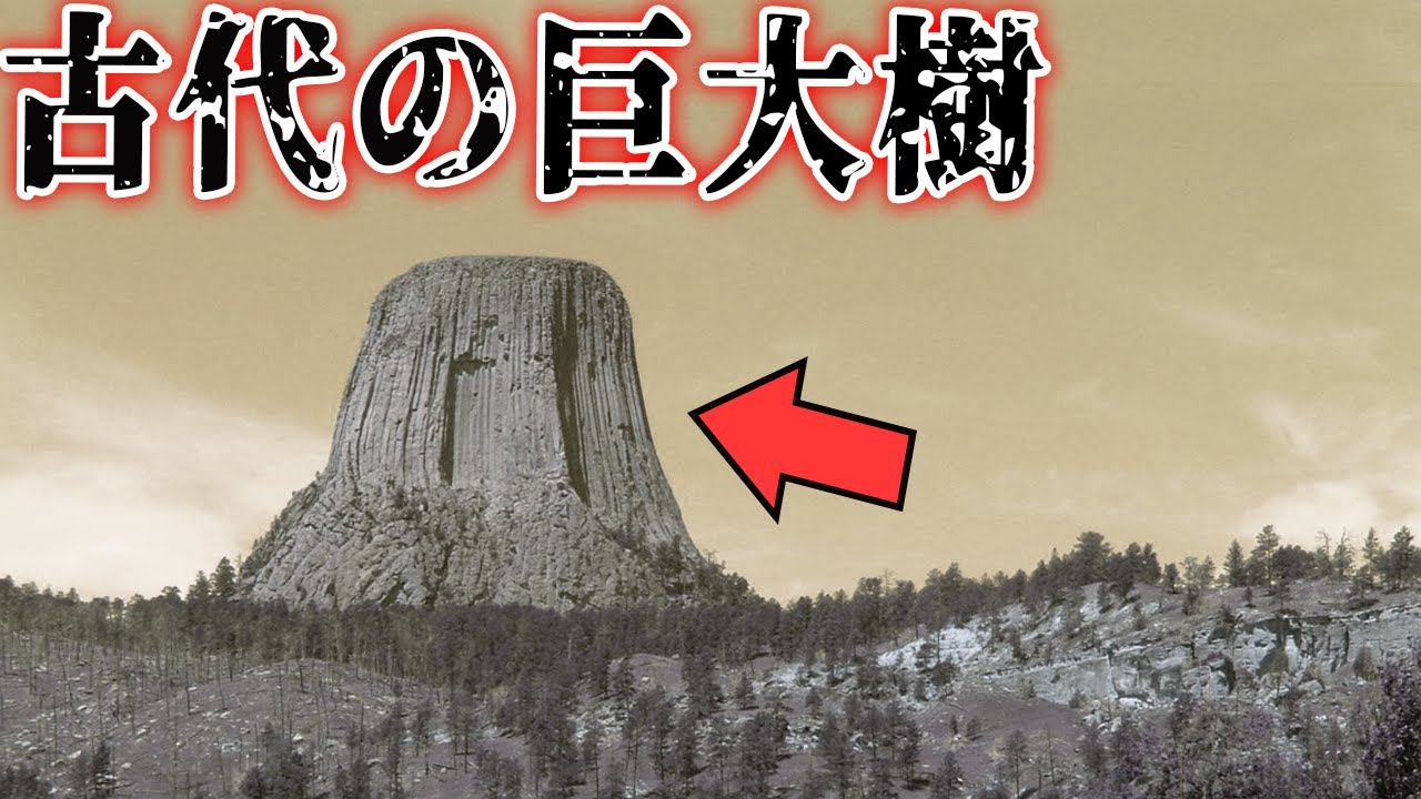 世界に点在する超古代に存在した巨大樹と共存した巨人の存在を示すもの・・・。【都市伝説】 - YouTube