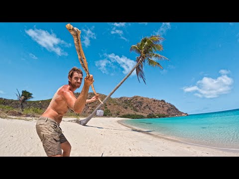 SURVIVAL CHALLENGE: Shipwrecked on Desert Island