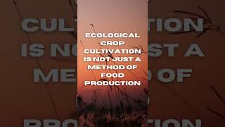 29. Ecological crop cultivation is not just a method of food production #shorts