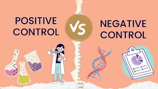 Positive Control vs Negative Control | Experimental Group