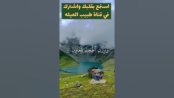 ولا تخزني يوم يبعثون 🌿🌹🍀♥️قران كريم بصوت جميل #تلاوة_هادئة #روائع_التلاوة