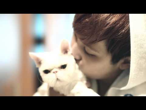 FTISLAND - MEMORY M/V