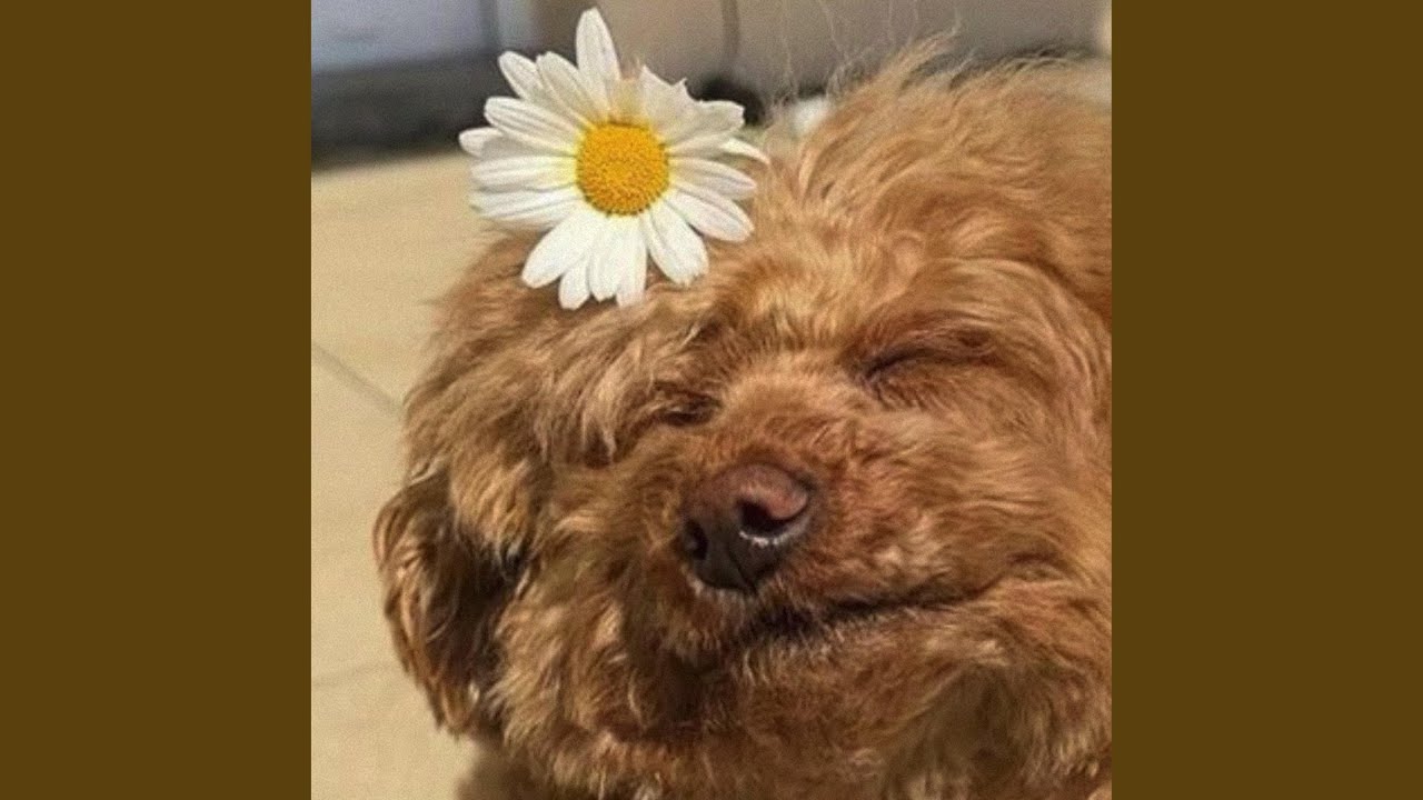 Watch same step on YouTube Watch same step on YouTube