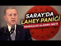Saray'da Lahey paniği; Yandaşlar alarma geçti | Çıkış Yolu