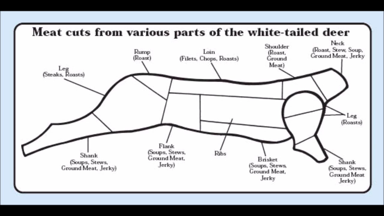 Whitetail Deer Butcher Chart