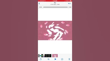 Klasky Csupo in Mystery Effect