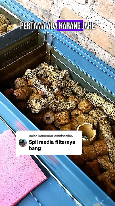 Media Filter Auto Jernih Maksimal