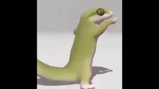 Lizard dances to Pokemon but its actually synced
