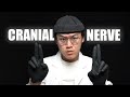 Asmr the most realistic cranial nerve exam ever