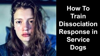 How To Train Dissociation Response In Service Animals