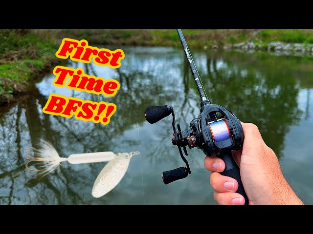 BFS Reel with Rooster TailOVERRATED?? 