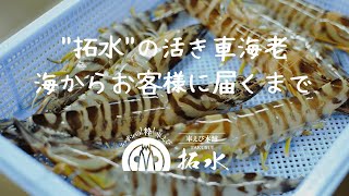 伊万里 伊万里特産 車えびみそ漬250g (無頭) 大サイズ - 車えび本舗 拓水