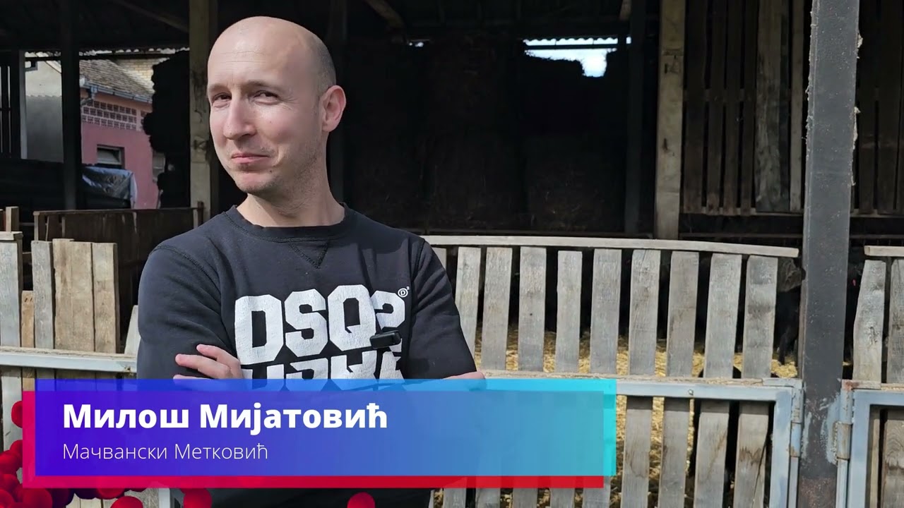 Romanovske ovce iskustvo mladog domaćina