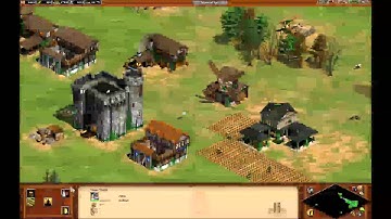 Age Of Empires 2 HD - Multiplayer 3v3 AI