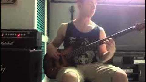 The Dirty Heads- Lay Me Down Bass Cover