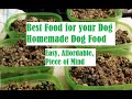 Homemade dog food best dog food diy raw or cooked affordable