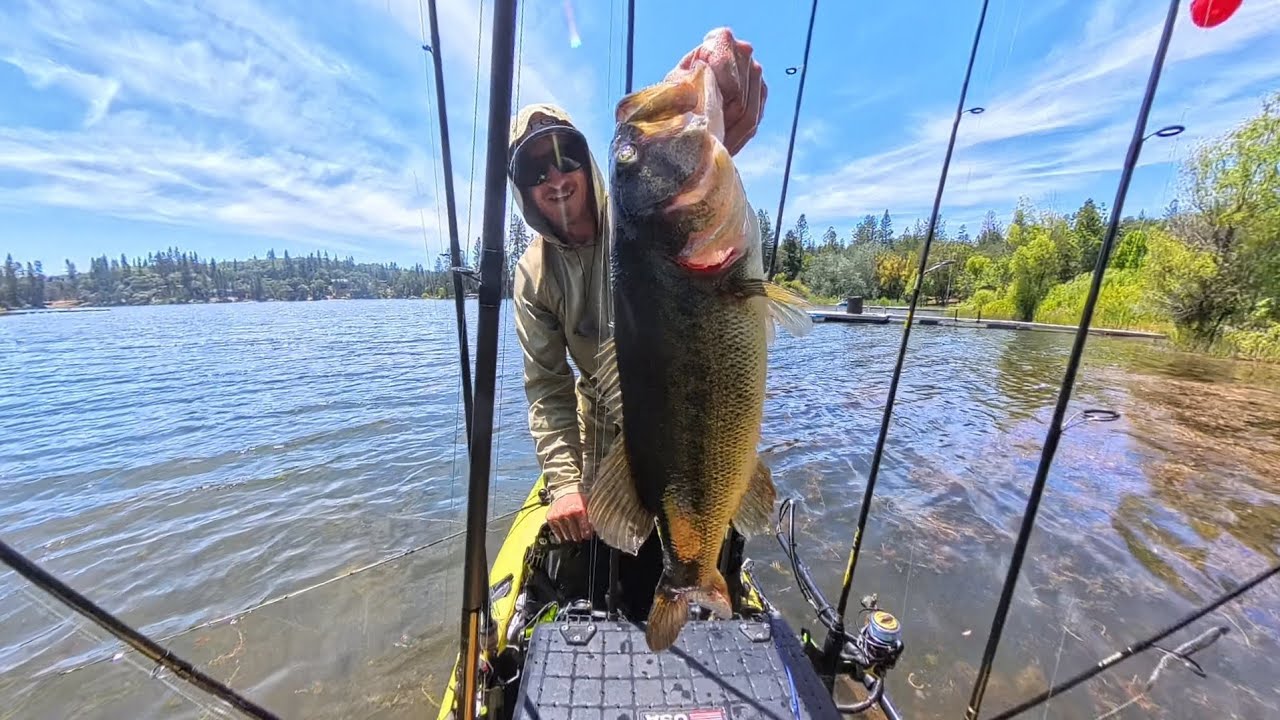 Kayak Bass Fishing California. Topwater and Punching!