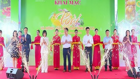 Đẩy mạnh XTTM tiêu thụ xoài và nông sản an toàn tỉnh Sơn La 2022