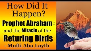 Video: In Quran 2:260, Abraham had the birds fly back to him - Abu Layth
