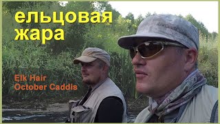 Ельцовая жара. Ловля ельца на сухую мушку. Elk Hair October Caddis.