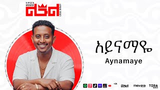 Leul Sisay - አይናማዬ _ Aynamaye Track 11 (Official Audio)