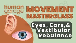 Eye Balance & Upper Body Reset Movement Masterclass | Fascial Maneuvers screenshot 5