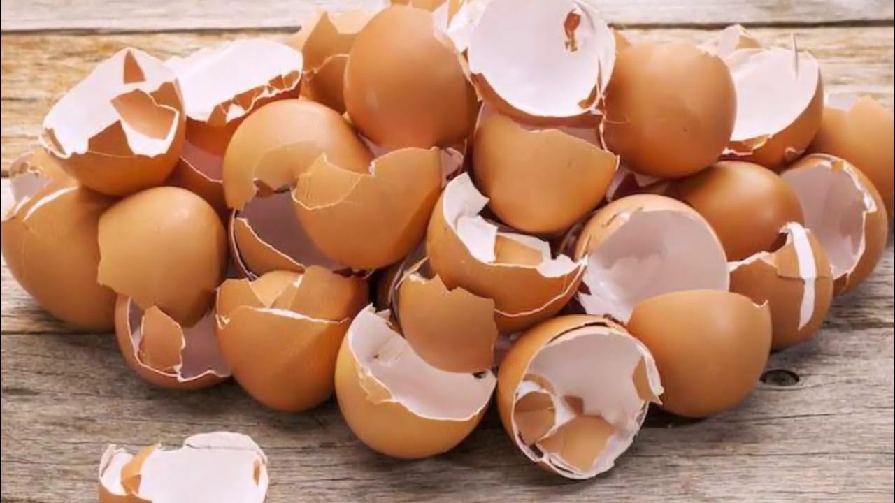 Олар кискаға доп салды