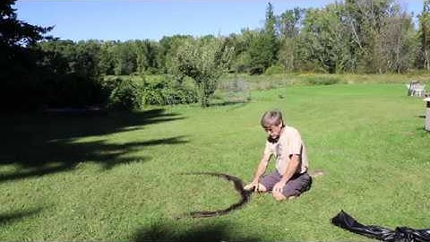 FE3208B Noble Falconry Research Bownet