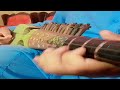 Pashto rabab logary saaz  rabab tips  tricks