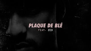 Zkr (ft. Zed) - Plaque de Blé (Audio officiel)