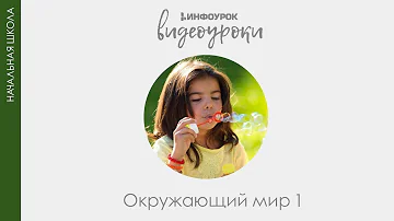 Знакомство с Красной книгой | Окружающий мир 1 класс #27 | Инфоурок