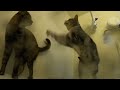 みんぽこのお風呂 みんぽこのお風呂