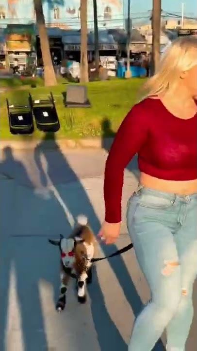 SECOND GIRL WASN’T HAVING IT 💀 (RACK PRANK GONE COMPLETELY WRONG) #shorts