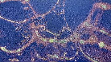 NEW YORK CITY Upper East Side Art Galleries-Skarstedt, Almine Rech, Berggruen, Cheim Read, Bénétière