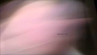 Autechre - 444 (Extended)