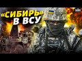 &quot;Мы устали&quot;: Россияне перешли на сторону Украины и вступили в ВСУ. Все о батальоне Сибирь