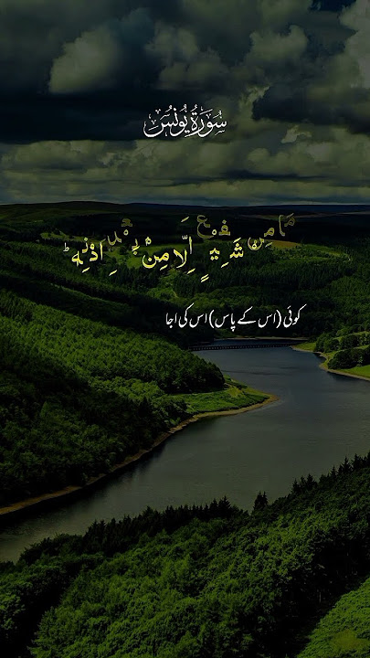 'Heart-Touching Recitation of Surah Yunus 🌙#QuranShorts #SurahYunus #IslamicShorts #QuranRecitation