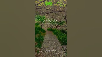 سورة التوبة القارئ #ماهر_المعيقلي #فلسطين#السعودية#الجزائر#المغرب#مصر#تونس#ليبيا#موريتانيا#اكسبلور