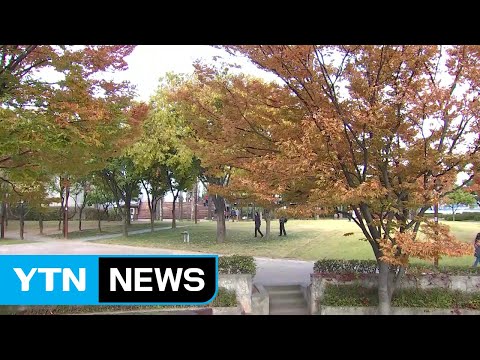 [날씨] 깊어가는 가을...단풍으로 물든 선유도 / YTN