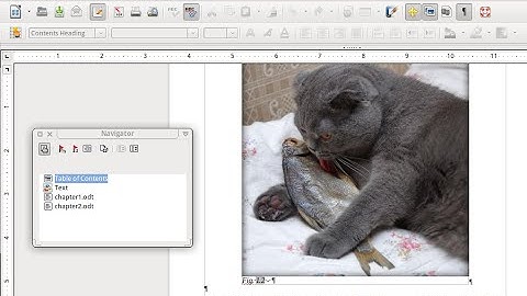 LibreOffice Writer  - Making Master Document From Separate Files