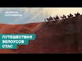 КОТОМОДЕРН И КРАС МАЗОВ О ПУТЕШЕСТВИЯХ, БЕЛОУСОВЕ И СТАСЕ
