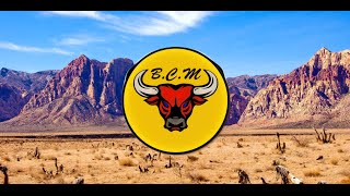 Jonas Blue - Fast Car ft. Dakota (Bull Remix)