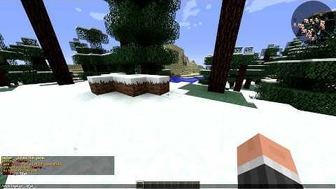 Essentials /nick command glitch