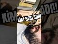 Kim Horladı? #shorts #shortvideo #shortvideos