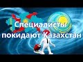 Казахстан покидают всё больше востребованных специалистов.